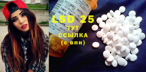 прущий лед Бикин